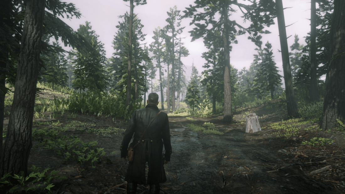 10-29-2018_1-07-12_AM