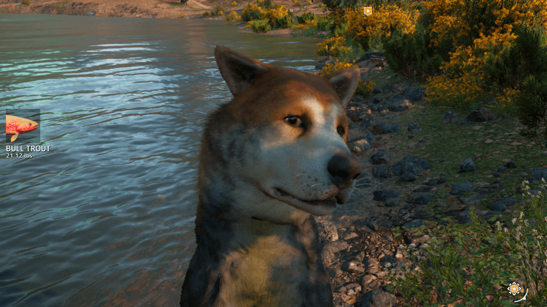 3-2-2019_8-48-39_PM-cq11nxhg